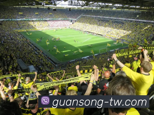 星空官网首页入口发展历程